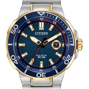 CITIZEN ECO-DRIVE ENDEAVOR TWO-TONE AW1424-54L