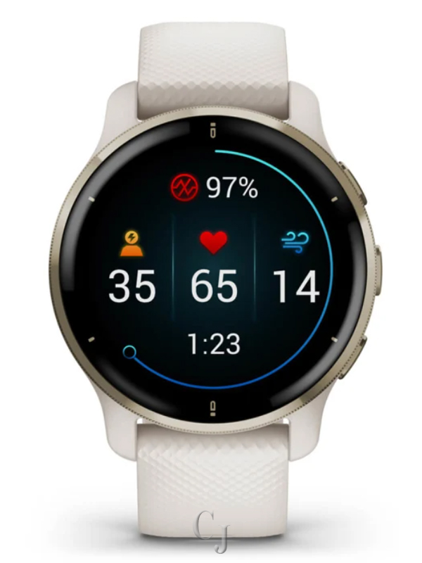 GARMIN VENU® 2 PLUS CREAM GOLD STAINLESS STEEL BEZEL W/ IVORY CASE AND SILICONE BAND 010-02496-02