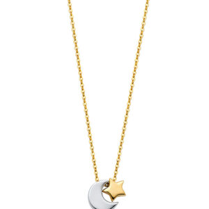 14K 2T Moon + Star Necklace