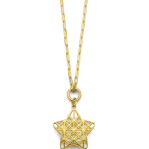 14KY Meshed Star Necklace