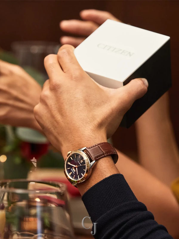 CITIZEN ROLAN NAVY DIAL MEN’S WATCH AW0096-06L - Image 6